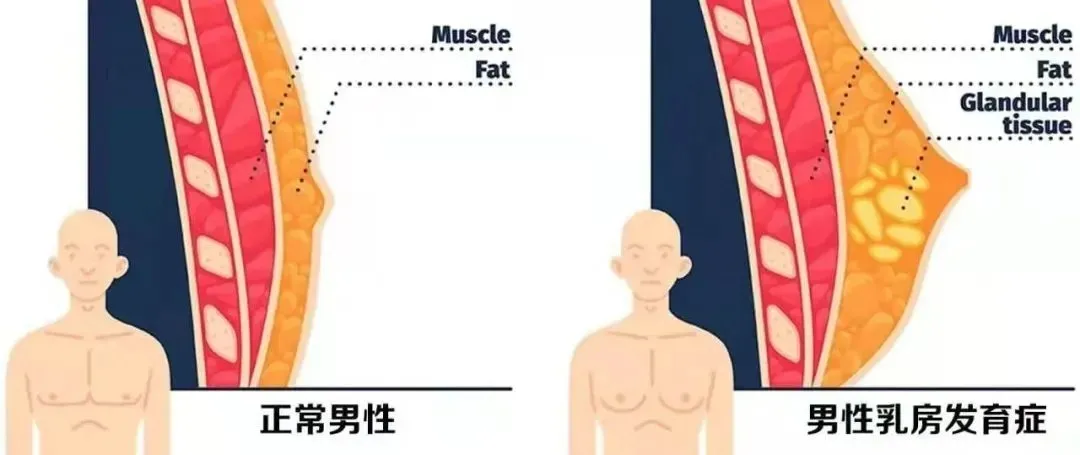 圖片2.png